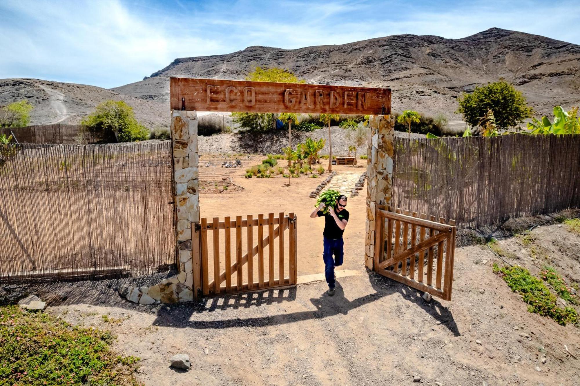 Playitas Villas - Sports Resort Las Playitas エクステリア 写真